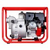 Мотопомпа PG 1300 T